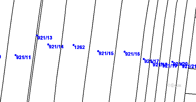 Parcela st. 921/15 v KÚ Křimice, Katastrální mapa