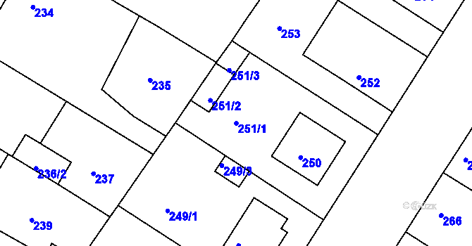 Parcela st. 251/1 v KÚ Křimice, Katastrální mapa