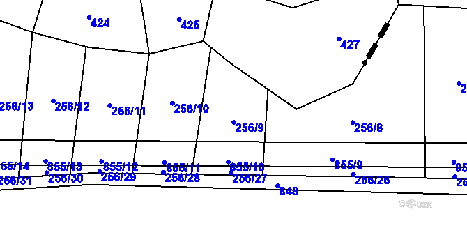 Parcela st. 256/9 v KÚ Křižínkov, Katastrální mapa