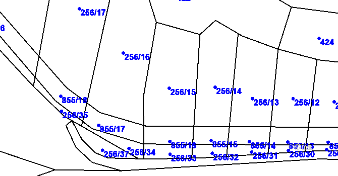 Parcela st. 256/15 v KÚ Křižínkov, Katastrální mapa