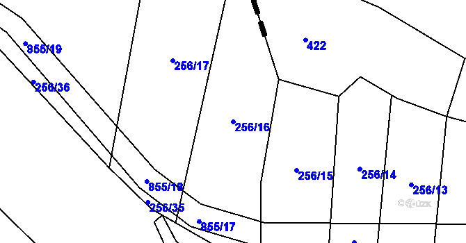 Parcela st. 256/16 v KÚ Křižínkov, Katastrální mapa
