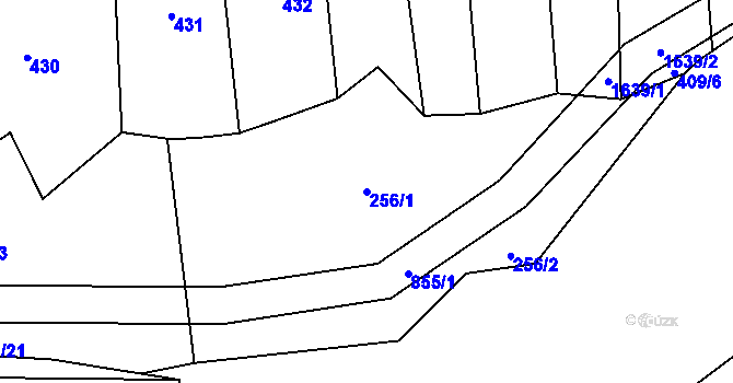 Parcela st. 256/1 v KÚ Křižínkov, Katastrální mapa