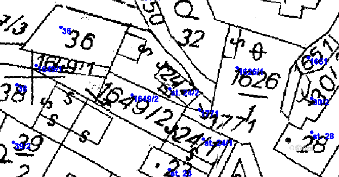 Parcela st. 24/2 v KÚ Krucemburk, Katastrální mapa