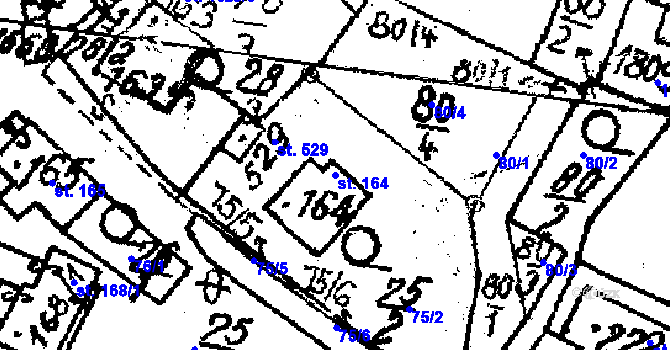 Parcela st. 164 v KÚ Krucemburk, Katastrální mapa