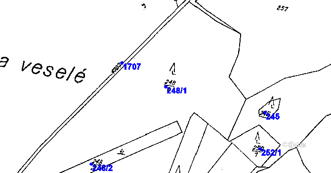 Parcela st. 248/1 v KÚ Krucemburk, Katastrální mapa