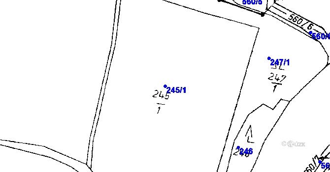 Parcela st. 245/1 v KÚ Jickovice, Katastrální mapa