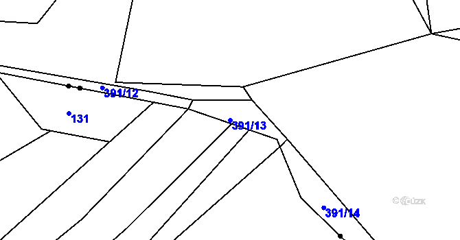 Parcela st. 391/13 v KÚ Sychotín, Katastrální mapa