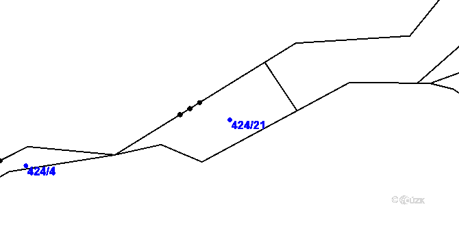 Parcela st. 424/21 v KÚ Sychotín, Katastrální mapa