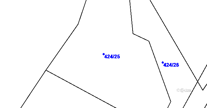 Parcela st. 424/25 v KÚ Sychotín, Katastrální mapa