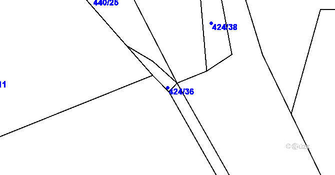 Parcela st. 424/36 v KÚ Sychotín, Katastrální mapa