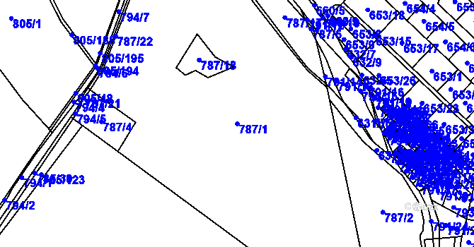 Parcela st. 787/1 v KÚ Sedlec u Kutné Hory, Katastrální mapa