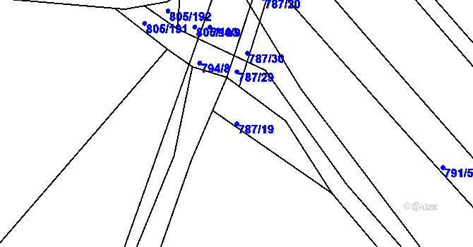 Parcela st. 787/19 v KÚ Sedlec u Kutné Hory, Katastrální mapa