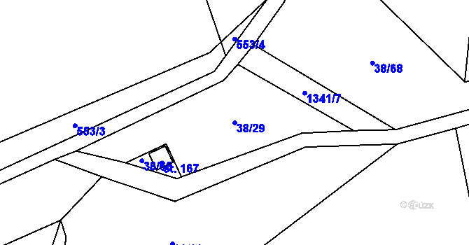 Parcela st. 38/29 v KÚ Kvasejovice, Katastrální mapa