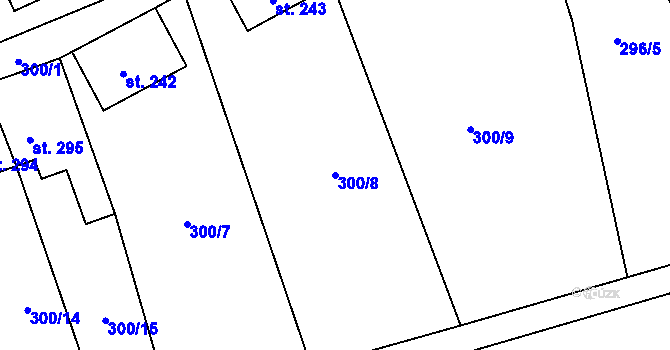 Parcela st. 300/8 v KÚ Kvasiny, Katastrální mapa
