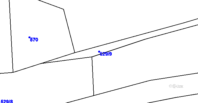 Parcela st. 529/9 v KÚ Skály u Kváskovic, Katastrální mapa