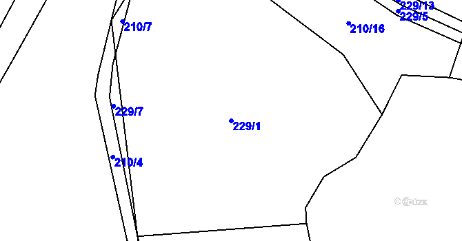 Parcela st. 229/1 v KÚ Olšany u Kvášňovic, Katastrální mapa