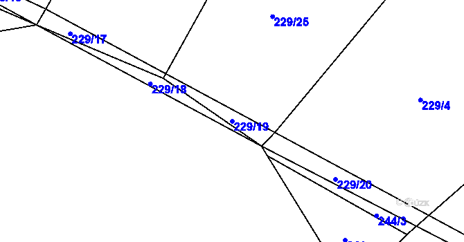 Parcela st. 229/19 v KÚ Olšany u Kvášňovic, Katastrální mapa