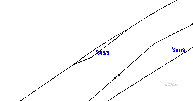 Parcela st. 603/3 v KÚ Kvasetice u Květinova, Katastrální mapa