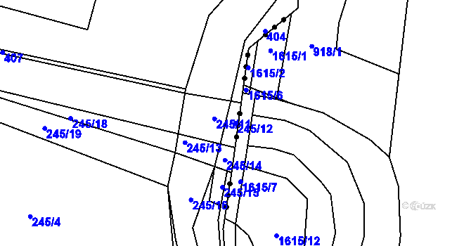 Parcela st. 245/12 v KÚ Květinov, Katastrální mapa