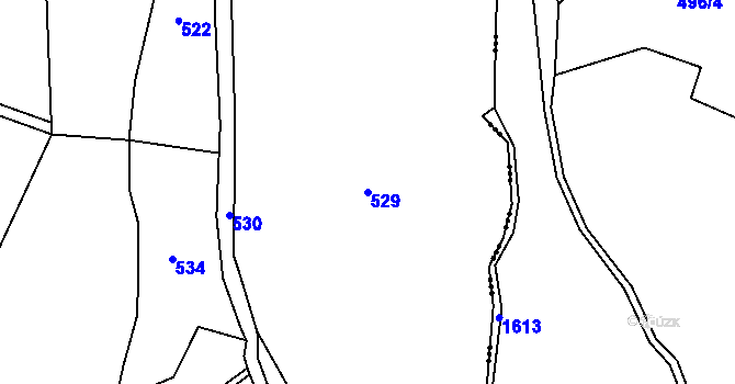 Parcela st. 529 v KÚ Květinov, Katastrální mapa