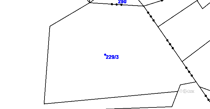 Parcela st. 229/3 v KÚ Kynice, Katastrální mapa