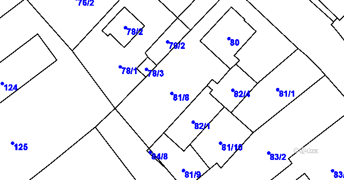 Parcela st. 81 v KÚ Kynšperk nad Ohří, Katastrální mapa