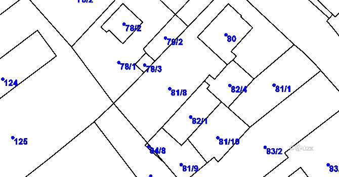 Parcela st. 81/8 v KÚ Kynšperk nad Ohří, Katastrální mapa