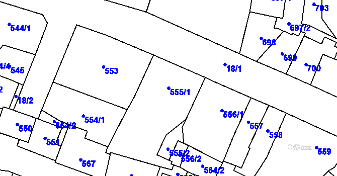 Parcela st. 555/1 v KÚ Kynšperk nad Ohří, Katastrální mapa