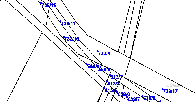 Parcela st. 732/4 v KÚ Lány u Dašic, Katastrální mapa