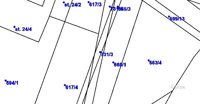 Parcela st. 731/3 v KÚ Lány u Dašic, Katastrální mapa