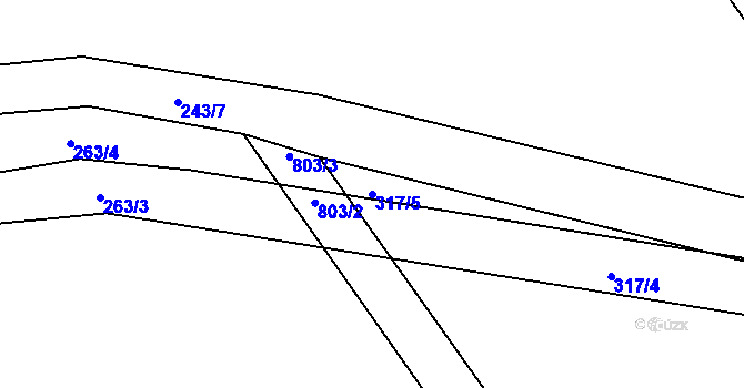 Parcela st. 317/5 v KÚ Lány u Dašic, Katastrální mapa