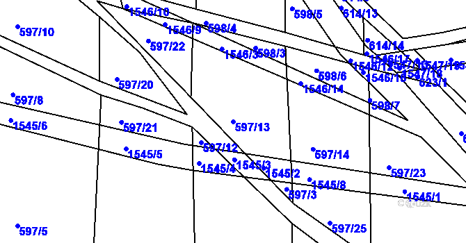 Parcela st. 597/13 v KÚ Horní Nová Ves, Katastrální mapa