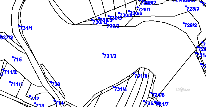 Parcela st. 731/3 v KÚ Lažánky u Blanska, Katastrální mapa