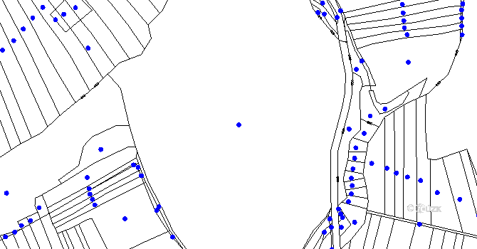 Parcela st. 481/1 v KÚ Lažany, Katastrální mapa