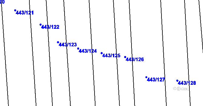 Parcela st. 443/125 v KÚ Lážovice, Katastrální mapa