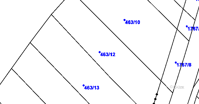 Parcela st. 463/12 v KÚ Ledce u Židlochovic, Katastrální mapa