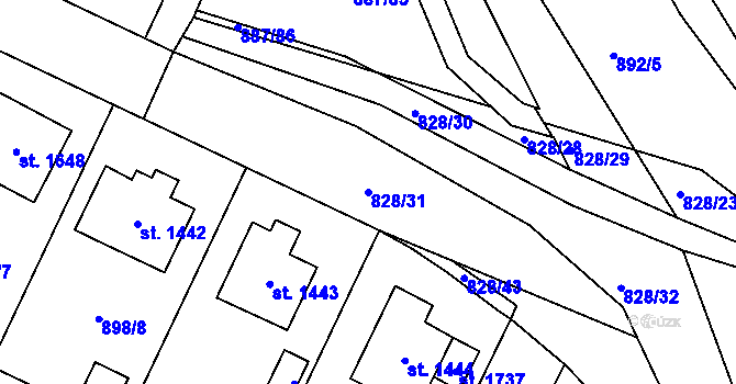 Parcela st. 828/31 v KÚ Ledeč nad Sázavou, Katastrální mapa