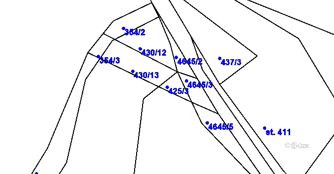 Parcela st. 425/3 v KÚ Ledenice, Katastrální mapa