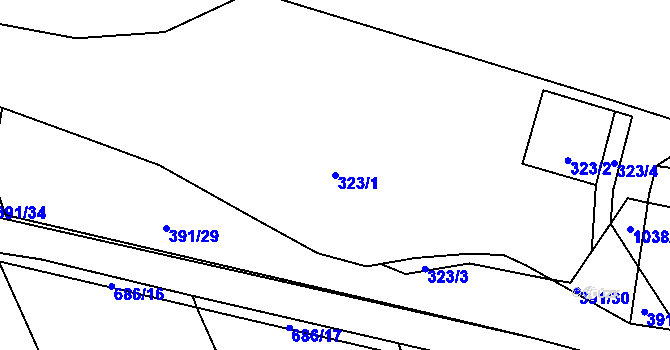 Parcela st. 323/1 v KÚ Lednice, Katastrální mapa