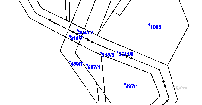 Parcela st. 918/8 v KÚ Lednice, Katastrální mapa