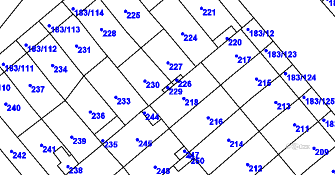 Parcela st. 229 v KÚ Lednice na Moravě, Katastrální mapa
