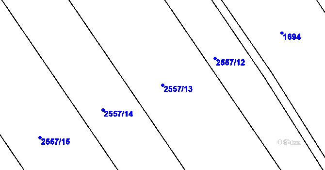 Parcela st. 2557/13 v KÚ Lednice na Moravě, Katastrální mapa
