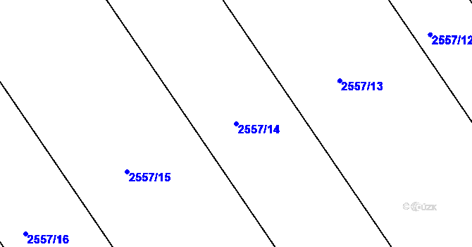 Parcela st. 2557/14 v KÚ Lednice na Moravě, Katastrální mapa