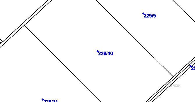 Parcela st. 229/10 v KÚ Nejdek u Lednice, Katastrální mapa