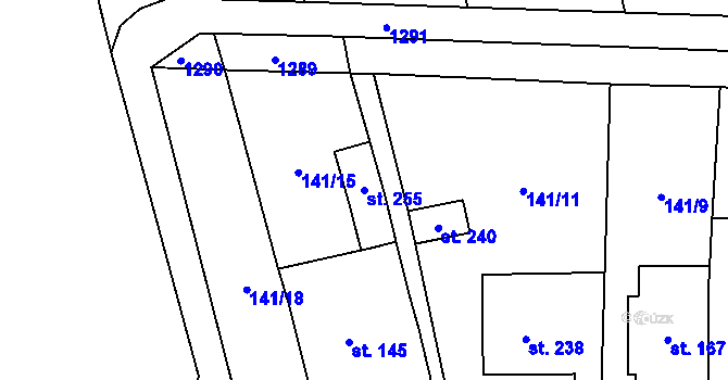 Parcela st. 255 v KÚ Lechotice, Katastrální mapa