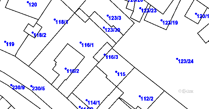 Parcela st. 116/3 v KÚ Lechovice, Katastrální mapa