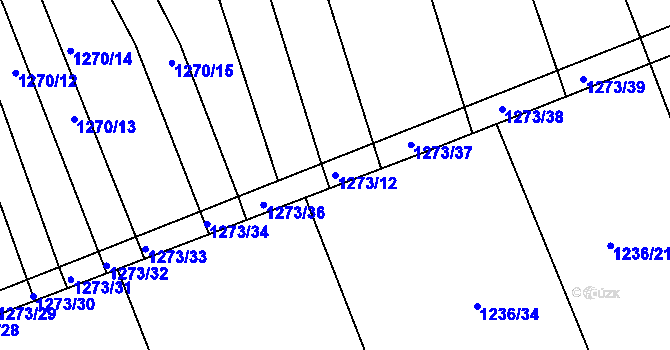 Parcela st. 1273/12 v KÚ Lelekovice, Katastrální mapa