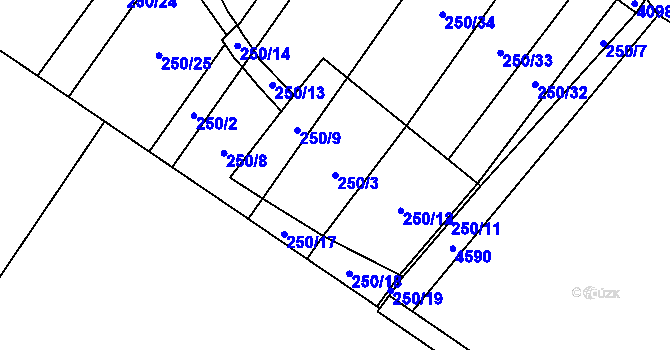 Parcela st. 250/3 v KÚ Lenešice, Katastrální mapa