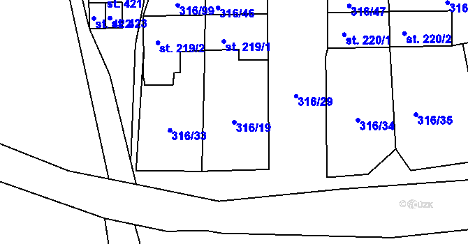 Parcela st. 316/19 v KÚ Lenora, Katastrální mapa