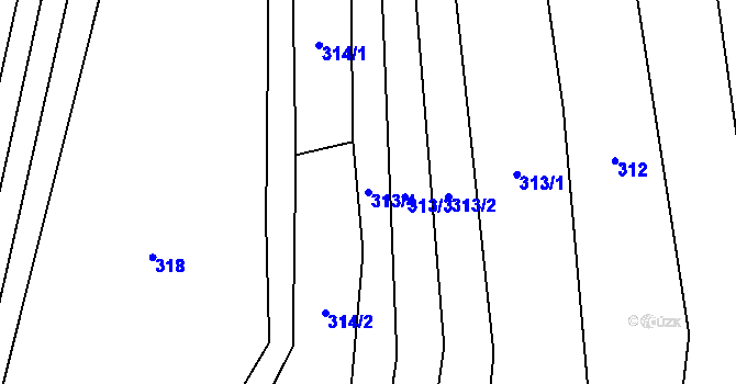Parcela st. 313/4 v KÚ Leskovec, Katastrální mapa
